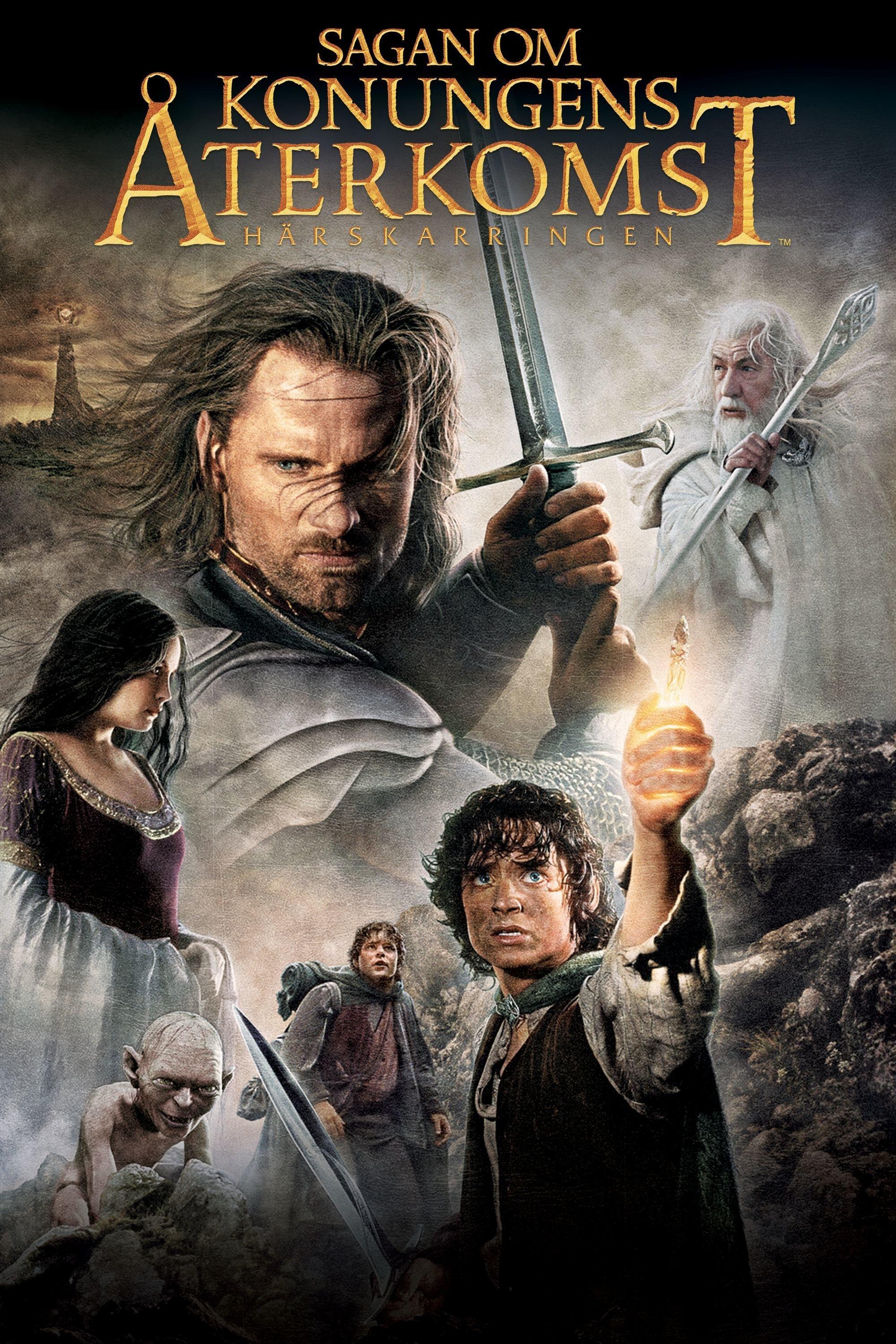 Sagan om konungens återkomst - härskarringen poster